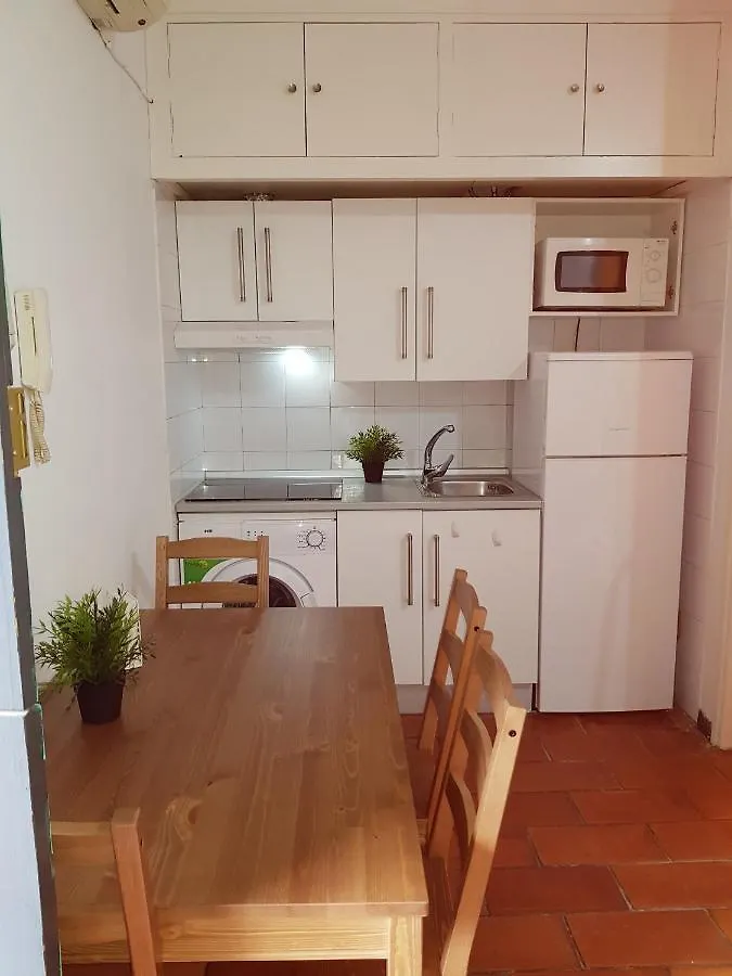 Apartamento Patio Andaluz Siglo XVI Sevilla 0*,  España