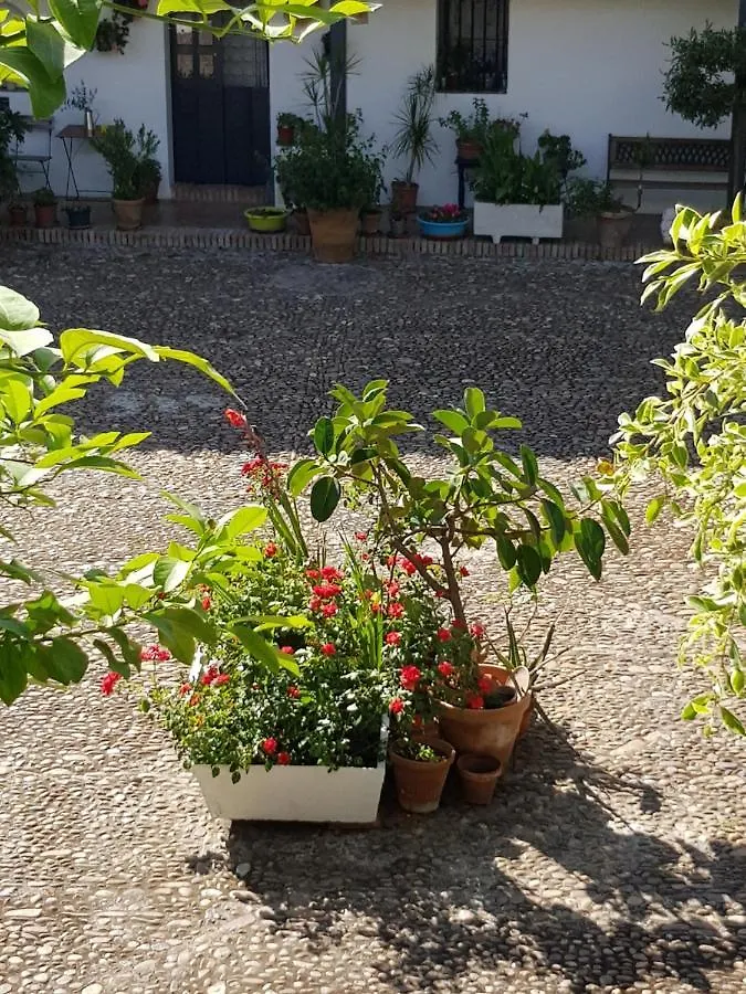 Apartamento Patio Andaluz Siglo XVI Sevilla